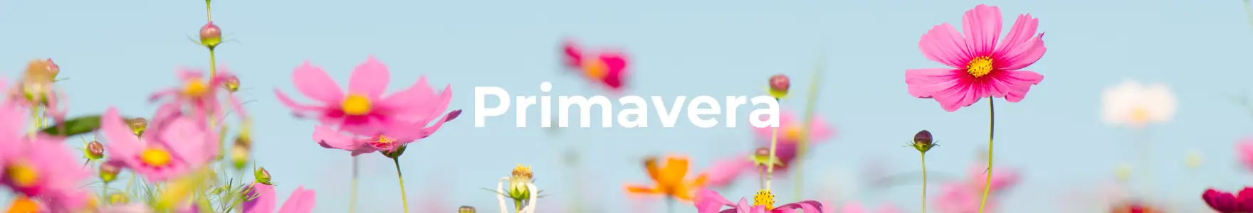 Velas y fragancias de primavera - distribuidor exclusivo, fabricante, importador CWStore.eu