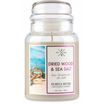 Dried Wood & Sea Salt