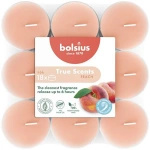 Bougies chauffe-plat parfumées 18 pièces en polycarbonate