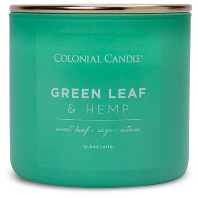 Colonial Candle Pop Of Color geurkaars van sojabonen in glas 3 lonten 14,5 oz 411 g - Green Leaf & Hemp