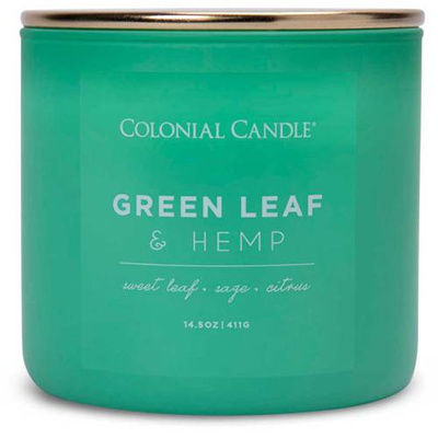 Colonial Candle Pop Of Color kvapioji sojų pupelių žvakė stiklinėje 3 dagčiai 14,5 uncijos 411 g - Green Leaf & Hemp