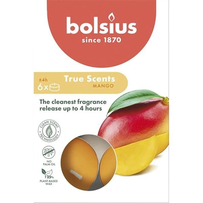 Bolsius True Scents bougies chauffe-plat parfumées 6 pièces - Mangue