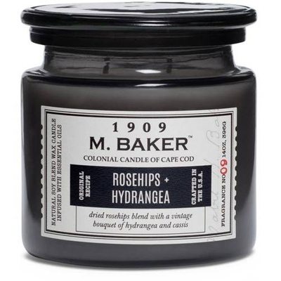 Colonial Candle M Baker large soy scented candle apothecary jar 14 oz 396 g - Rosehips Hydrangea