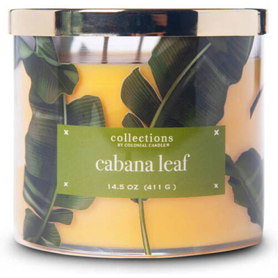 Soja geurkaars Cabana Leaf Colonial Candle