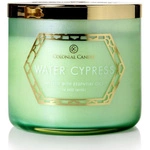 Водяной кипарис (Water Cypress)