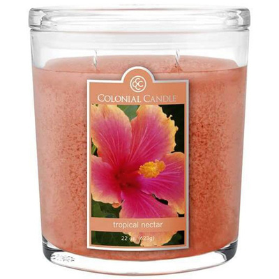 Didelė ovali kvapioji žvakė Colonial Candle 623 g - Tropical Nectar