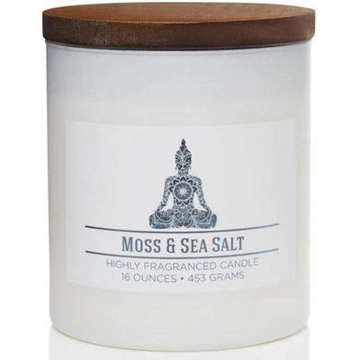 Colonial Candle Wellness large scented jar candle soy blend 16 oz 453 g - Moss & Sea Salt
