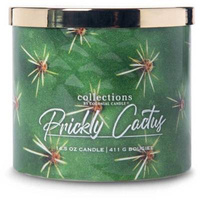 Colonial Candle Desert Collection Candela profumata alla soia in vetro 3 stoppini 14.5 oz 411 g - Prickly Cactus