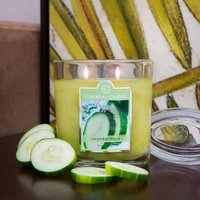 Овальная ароматическая свеча Colonial Candle 226 г - Cucumber Fresca