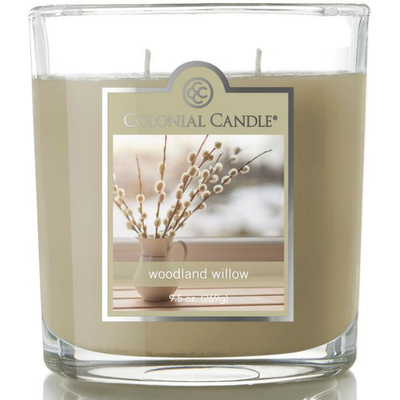 Colonial Candle bougie parfumée de soja 2 mèches 269 g - Woodland Willow