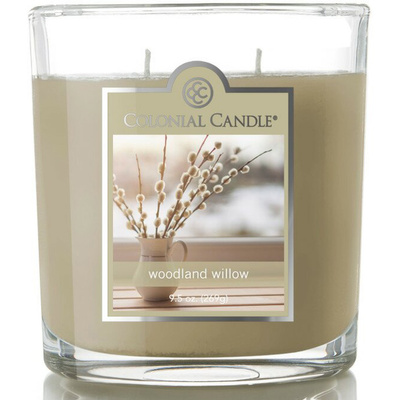 Kvapo žvakė soju 2 dagčiais Colonial Candle 269 g - Woodland Willow