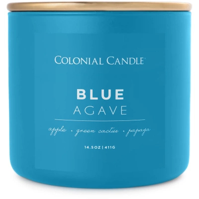 Bougie parfumée de soja 3 mèches Colonial Candle Pop of Color 411 g - Blue Agave