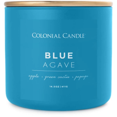 Sojų kvapo žvakė 3 dagčiai Colonial Candle Pop of Color 411 g - Blue Agave