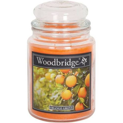 Bougie parfumée orange en verre grand Woodbridge - Orange Grove