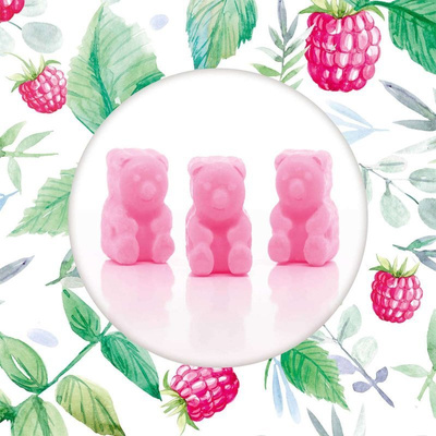 Cera si scioglie soia Ted Friends 50 g - Raspberry Vanilla