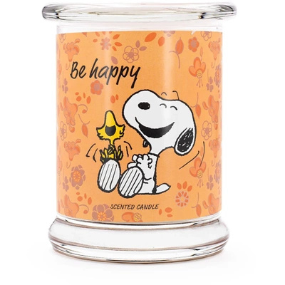 Peanuts Snoopy kvapioji žvakė stiklinėje 250 g - Be Happy