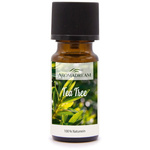 Tea Tree