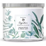 Eucalyptus & Fresh Mint