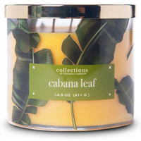 Bougie parfumée au soja Cabana Leaf Colonial Candle