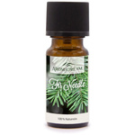 Fir Needle