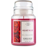 Velvet Rose (Бархатная роза)