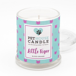 Little Tiger Blood Orange