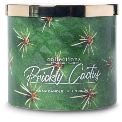 Colonial Candle Desert Collection scented soy candle in glass 3 wicks 14.5 oz 411 g - Prickly Cactus