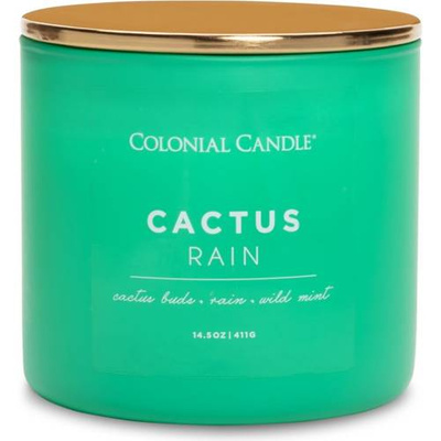 Candela di soia profumata - Cactus Rain Colonial Candle