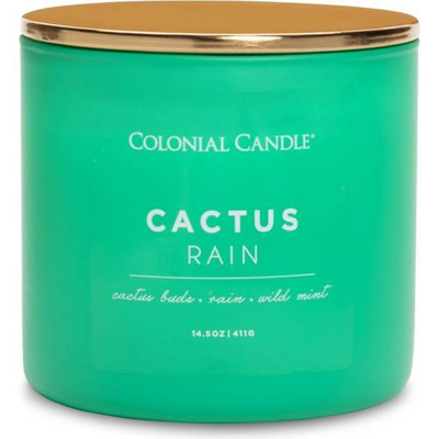 Sójová vonná sviečka kaktus - Cactus Rain Colonial Candle