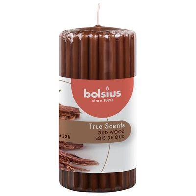 Bolsius True Scents kvapnioji žvakė 120/58 mm - Oud Wood